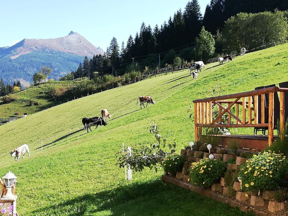 Urlaub Am Krausberghof, Apartment Mit Balkon Und Parkplatz, Inmitten Der Natur, Sauna Und Infrarotkabine, Kostenfreie Kaffeekapseln, 6 Fahrminuten Zur Alpentherme Gastein Und Zur Schlossalmbahn, Spielplatz Bad Hofgastein Exterior foto