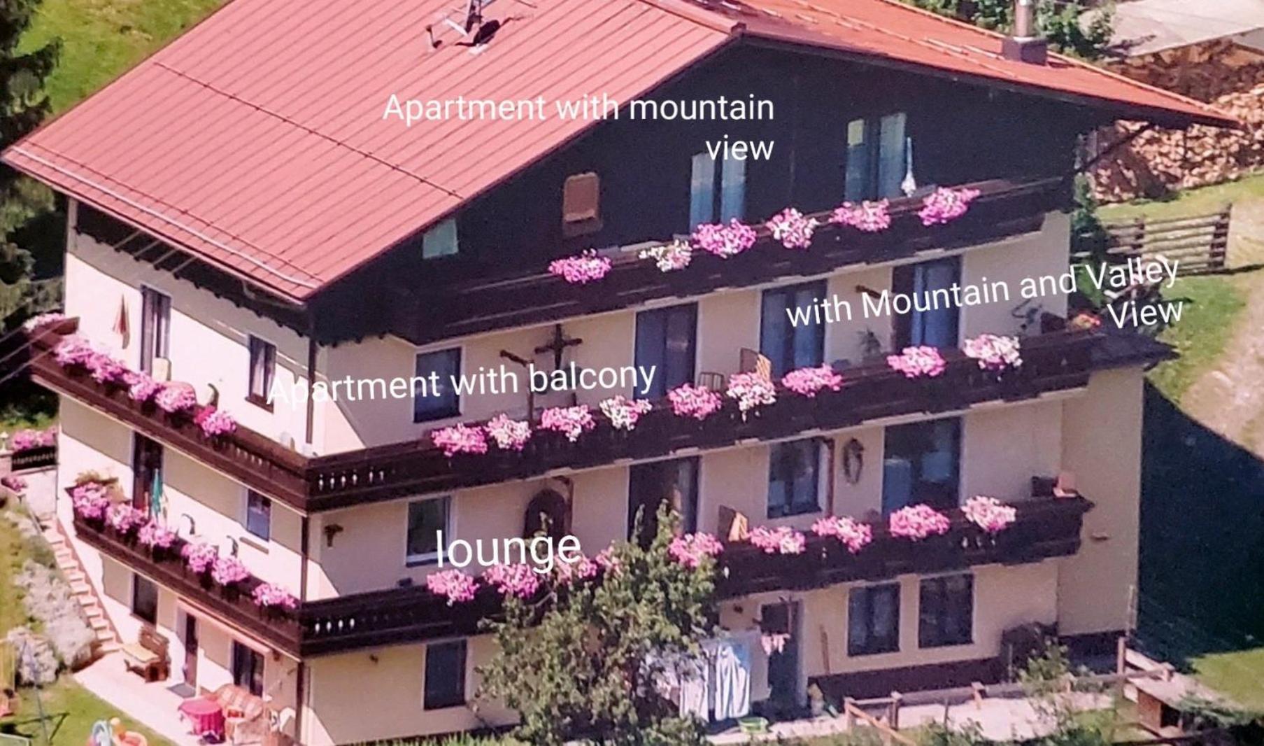 Urlaub Am Krausberghof, Apartment Mit Balkon Und Parkplatz, Inmitten Der Natur, Sauna Und Infrarotkabine, Kostenfreie Kaffeekapseln, 6 Fahrminuten Zur Alpentherme Gastein Und Zur Schlossalmbahn, Spielplatz Bad Hofgastein Exterior foto