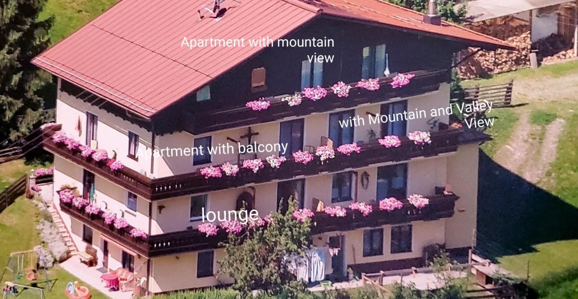 Urlaub Am Krausberghof, Apartment Mit Balkon Und Parkplatz, Inmitten Der Natur, Sauna Und Infrarotkabine, Kostenfreie Kaffeekapseln, 6 Fahrminuten Zur Alpentherme Gastein Und Zur Schlossalmbahn, Spielplatz Bad Hofgastein Exterior foto